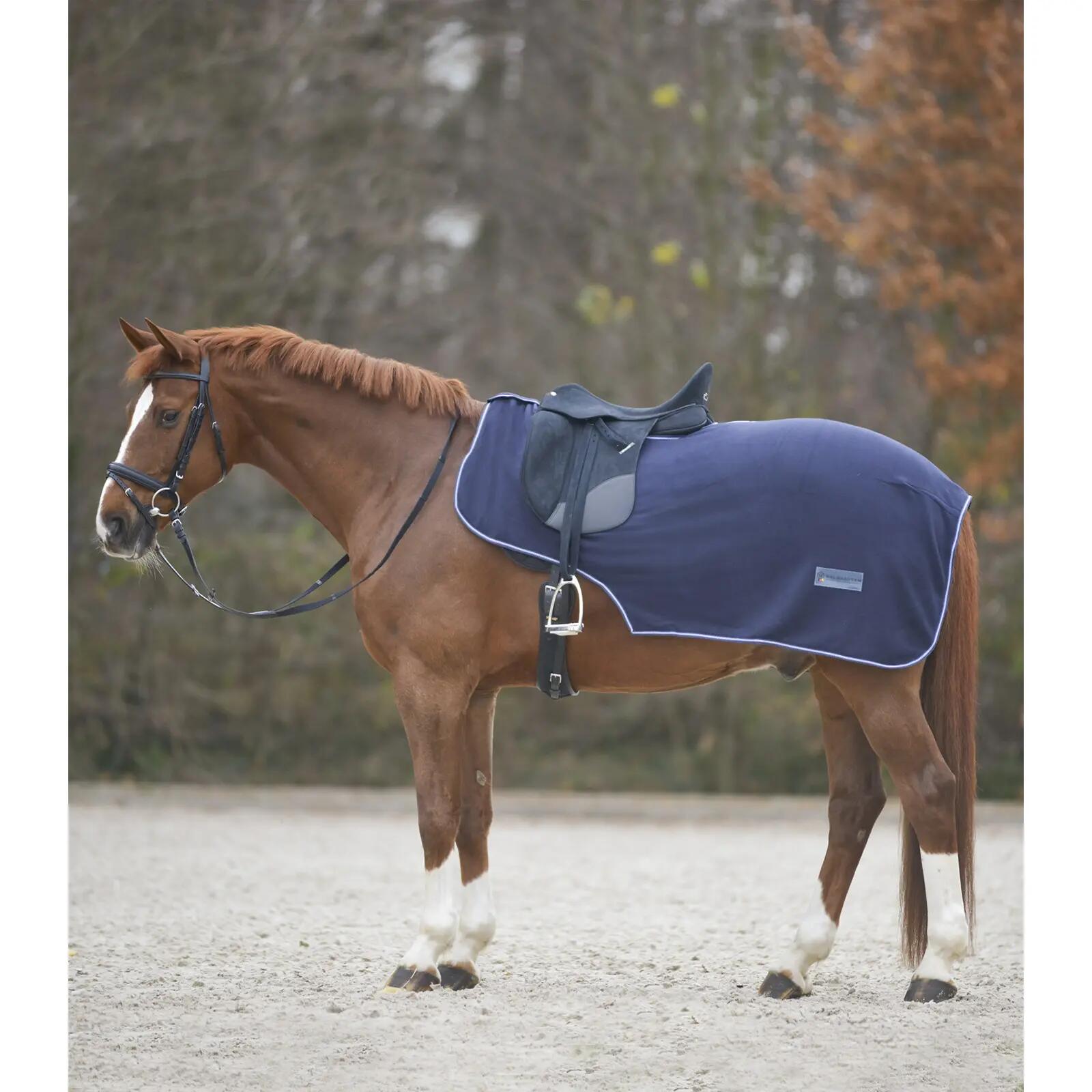 Couvre-reins pour cheval imperméable Waldhausen Economic 1/1
