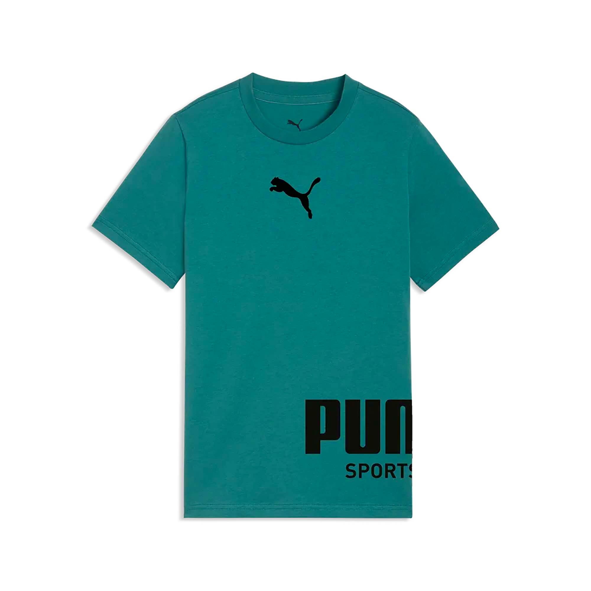 PUMA picture