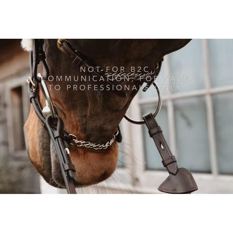 Museruola per cavallo messicana con catene Dy'on 2/2