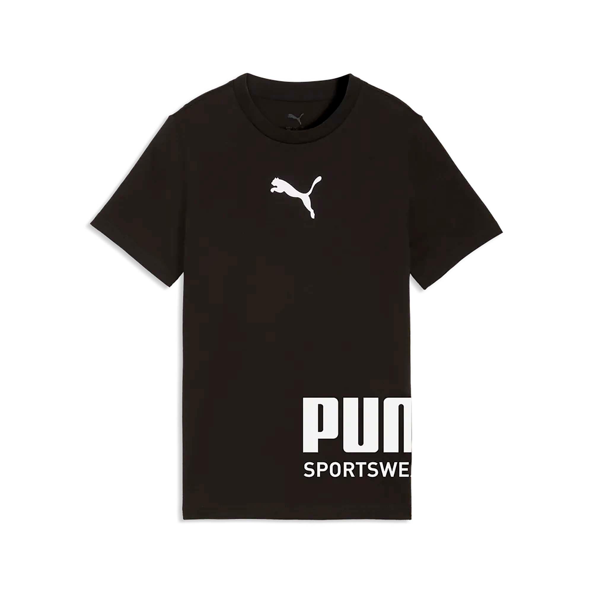 PUMA picture