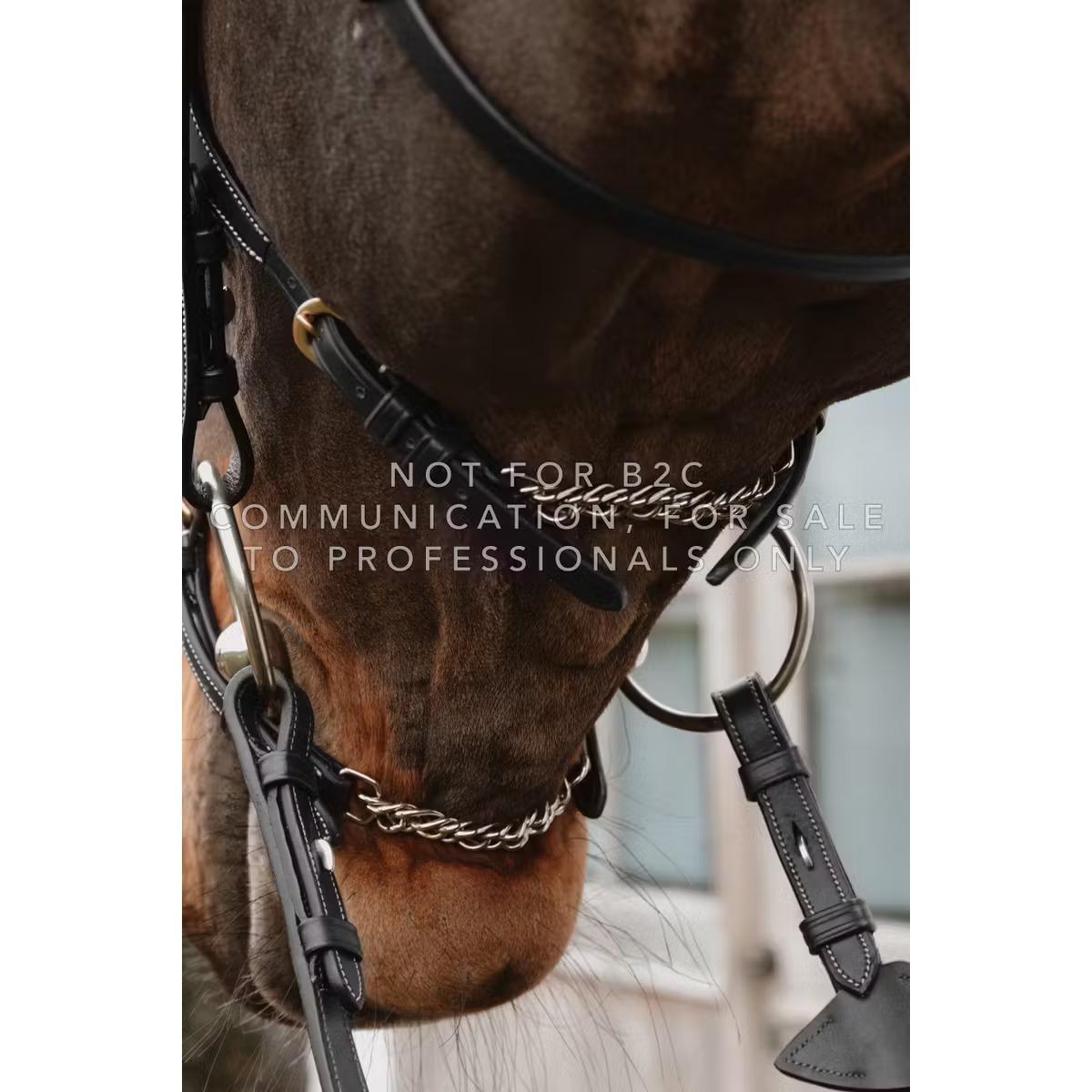 Mexicaanse paardenheugel met kettingen Dy'on 2/2