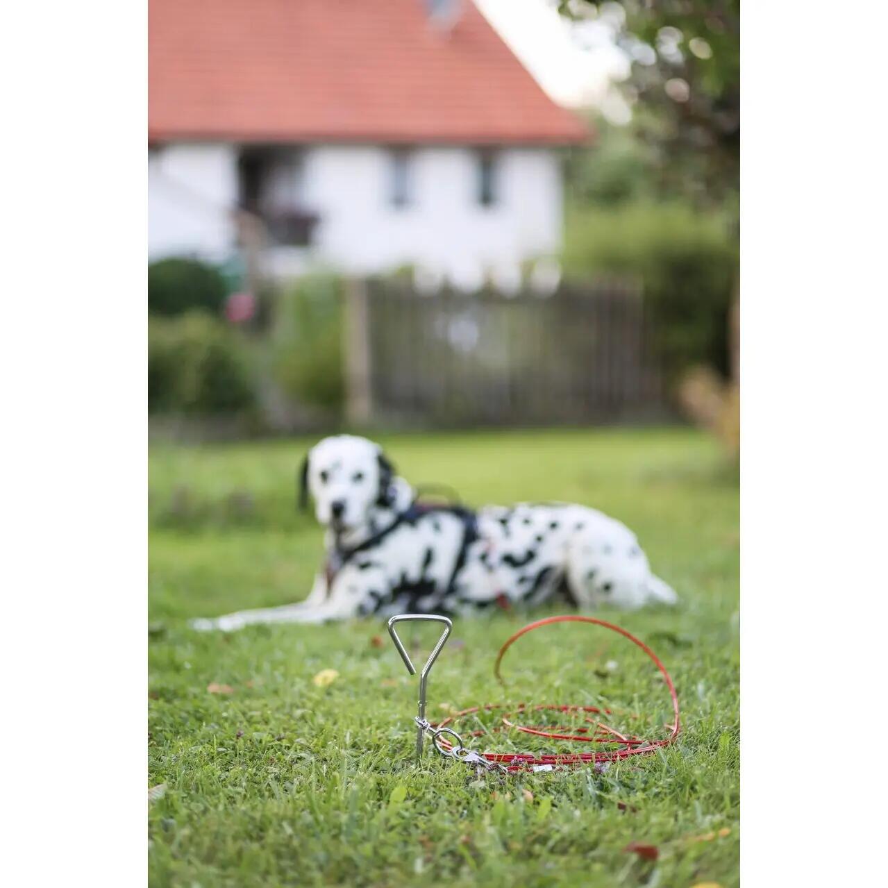 Laisse d'attache avec encrage spirale pour chien Kerbl 3/4