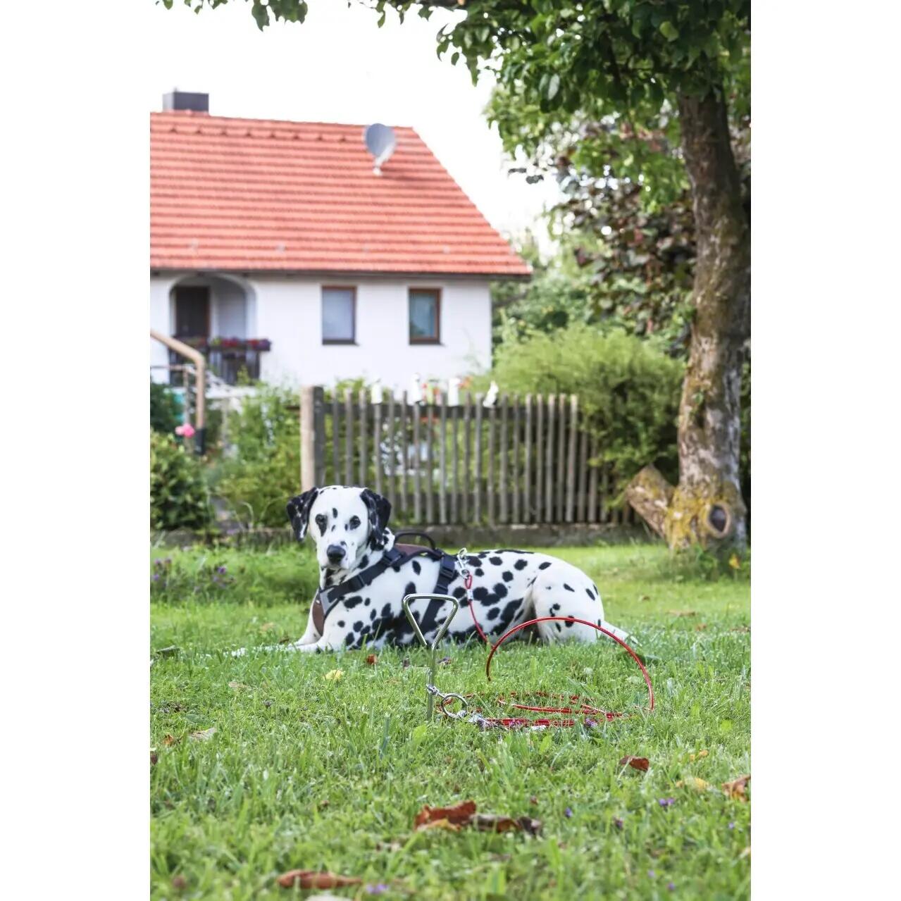 Laisse d'attache avec encrage spirale pour chien Kerbl 2/4