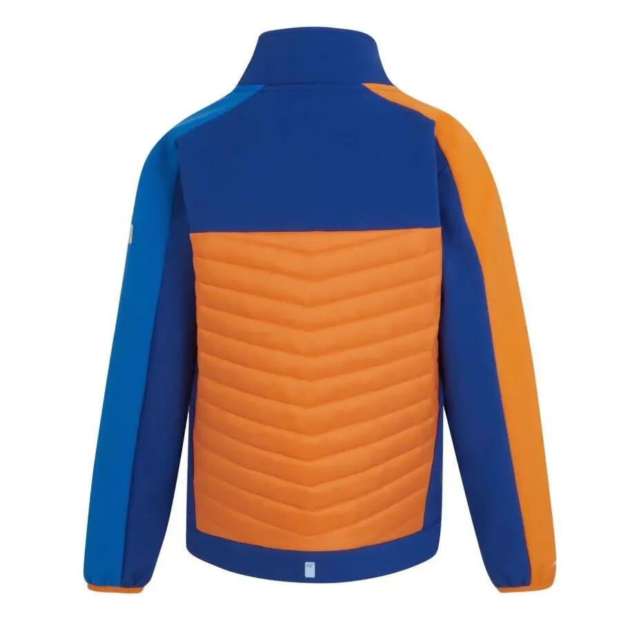 Chaqueta infantil Regatta Brynden 5/7