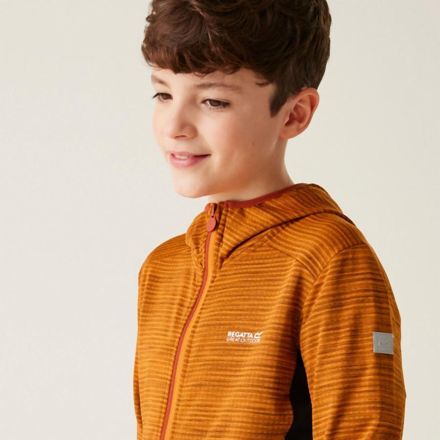 Veste softshell enfant Regatta Prenton III 3/4