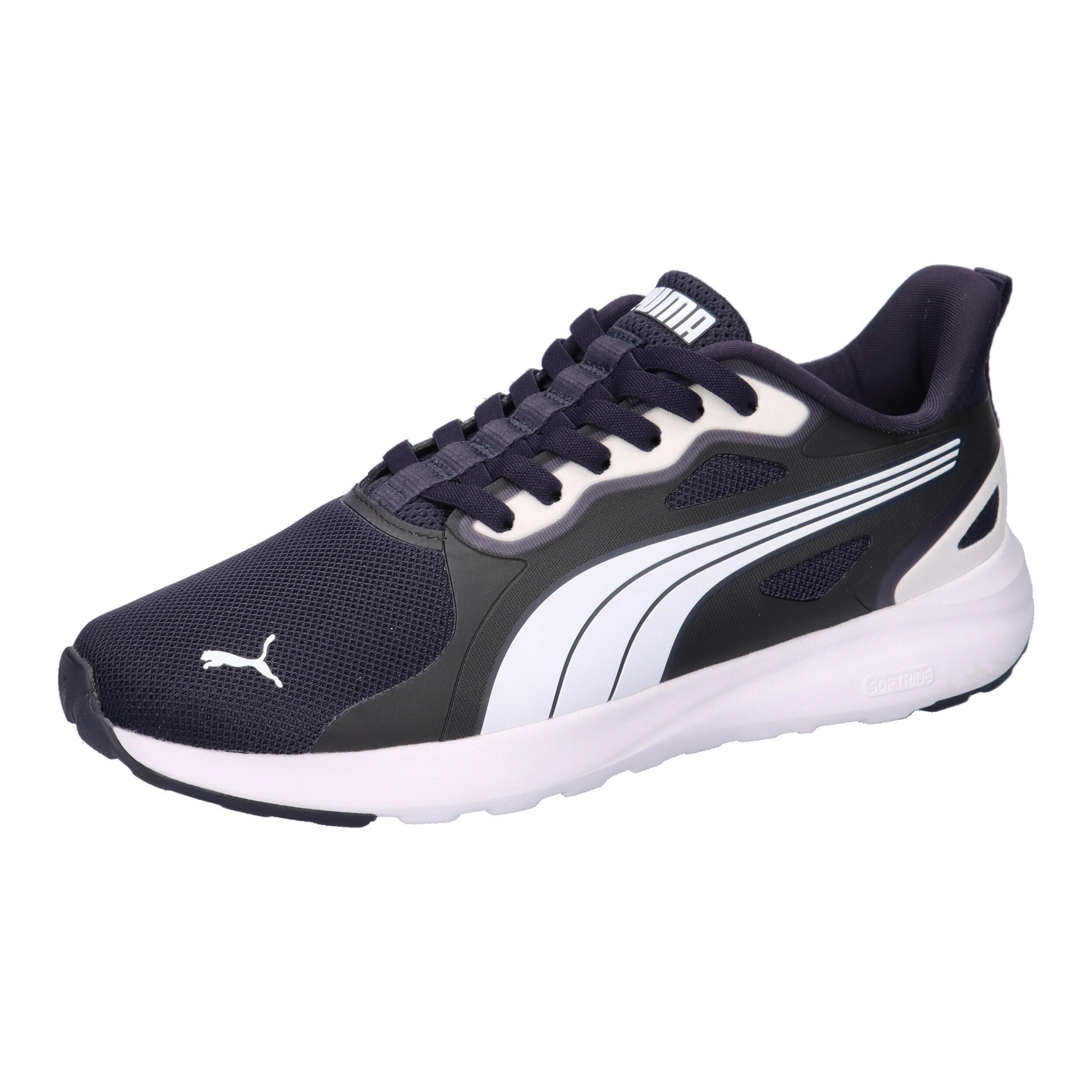 PUMA picture