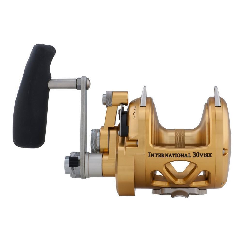 Werpmolen Penn International® 50VISX 3/3