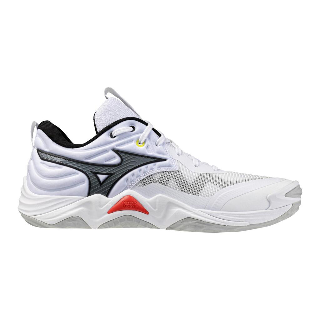 Mizuno Wave Momentum Elite Indoor Shoes