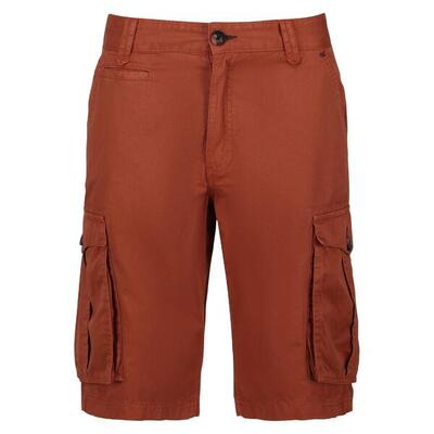 Broek hiking heren