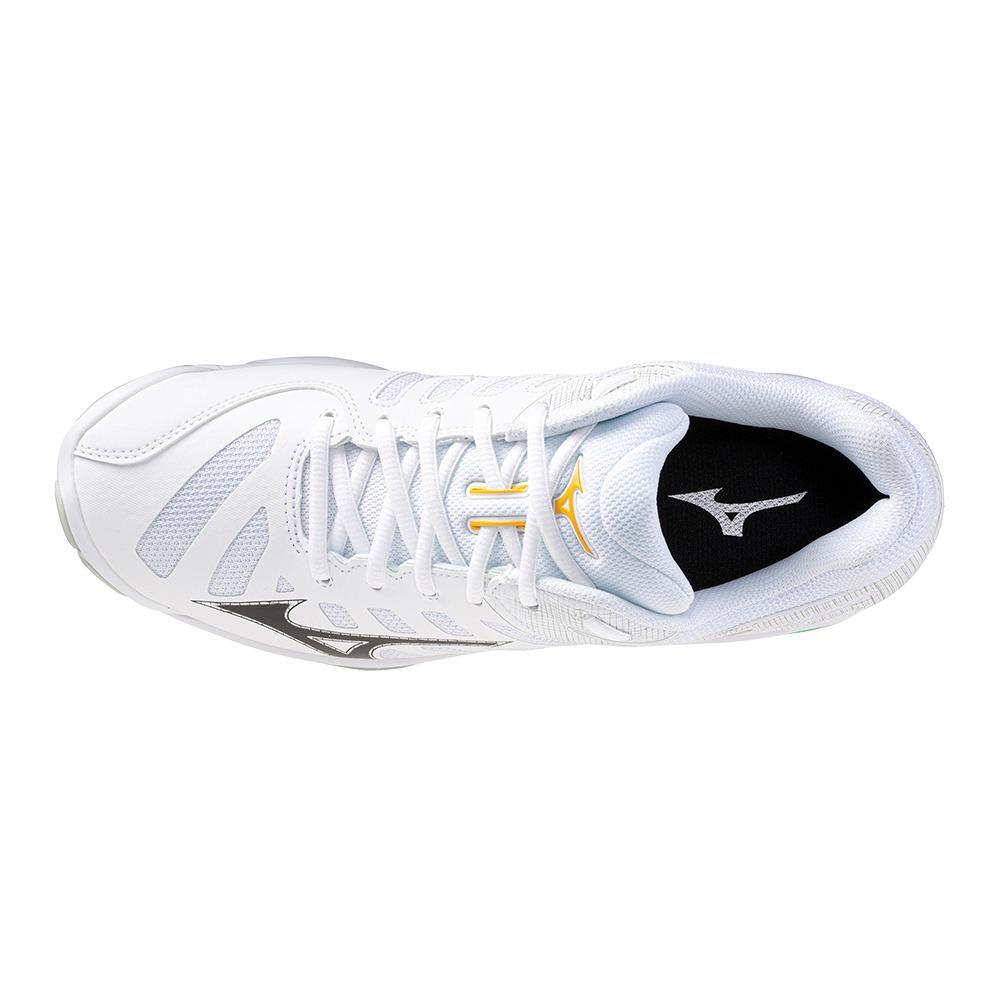 Scarpe indoor Mizuno Wave Voltage 2 4/6