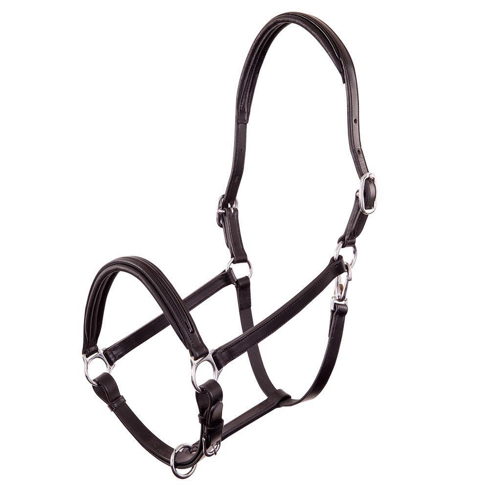 Patent leather halter for horses Premiere Equitation Florennes