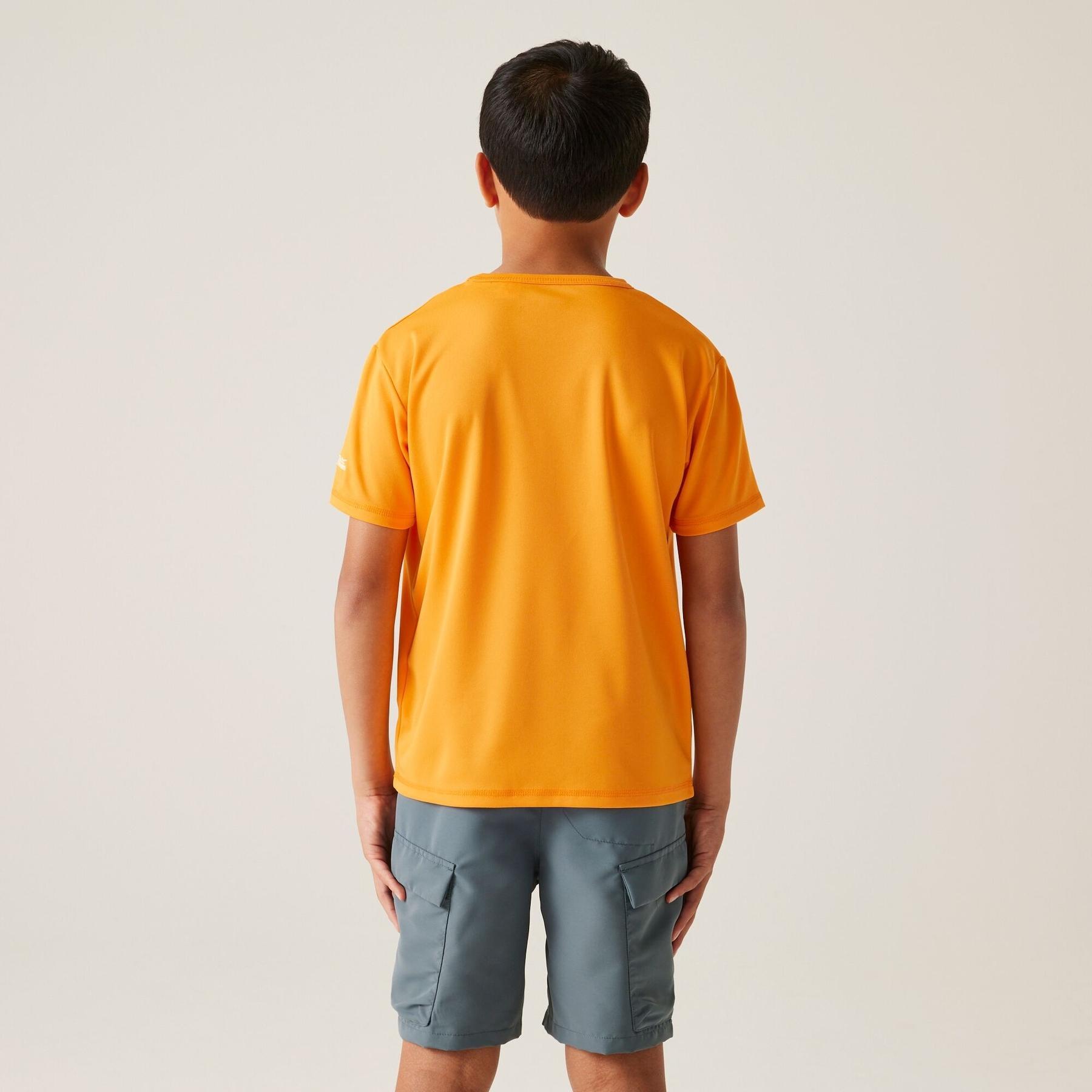 T-shirt per bambini Regatta Alvarado IX 6/7