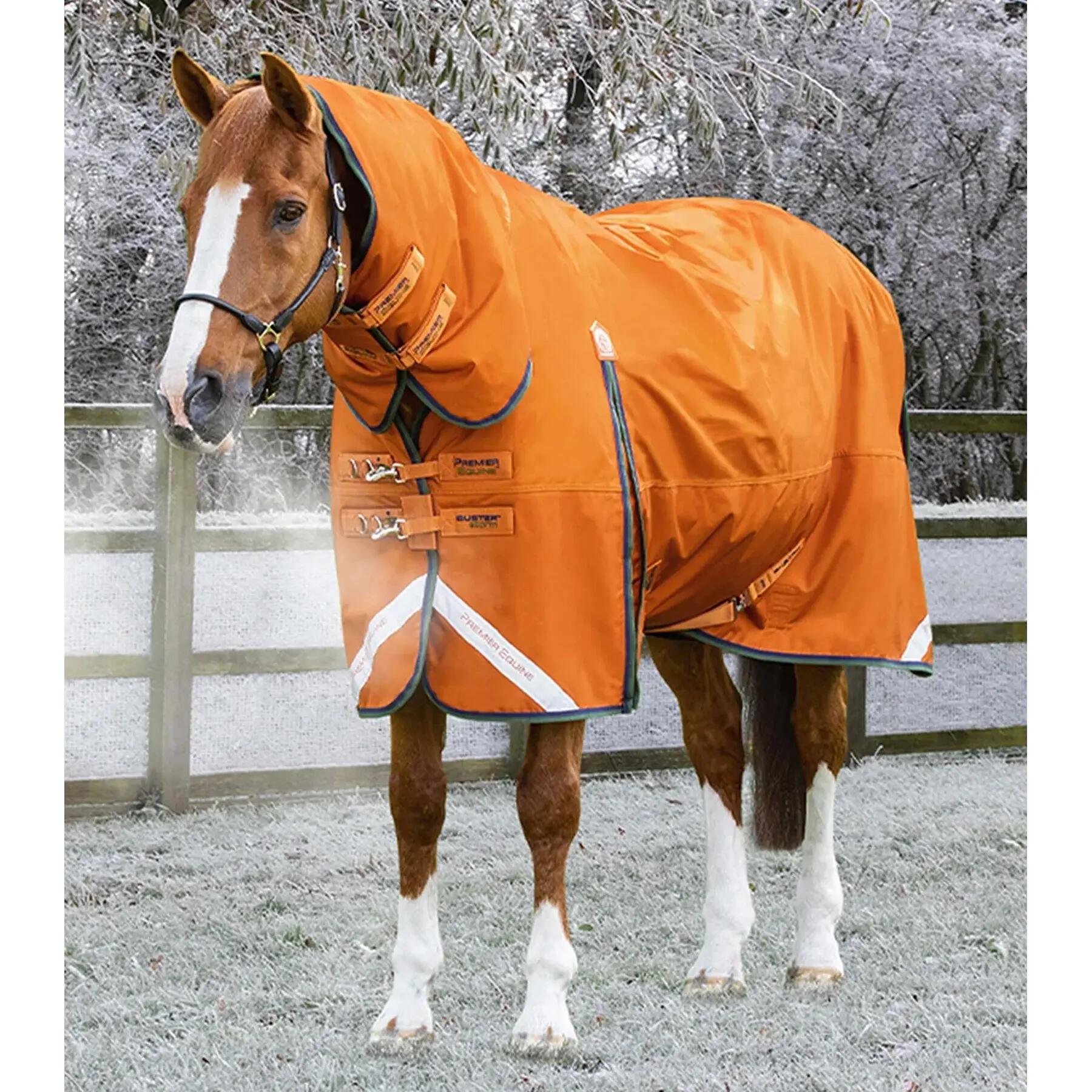 PREMIER EQUINE picture