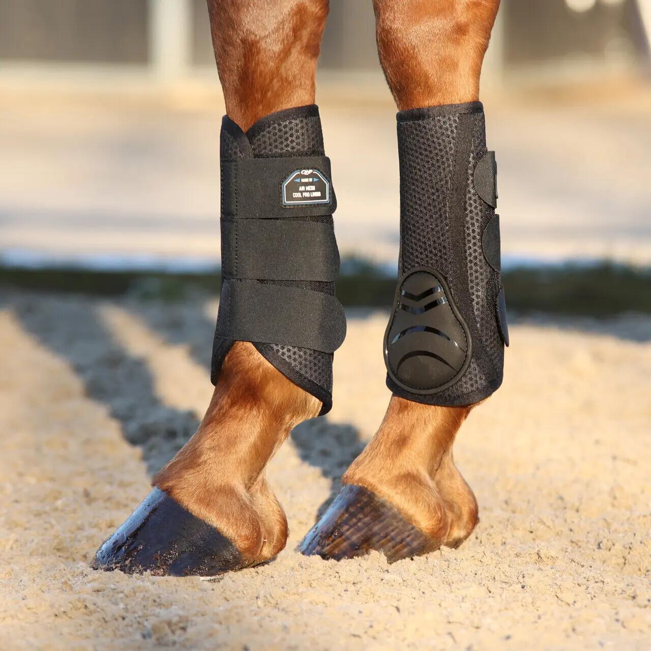 Ghette anteriori chiuse per cavalli QHP Air Mesh 3/3