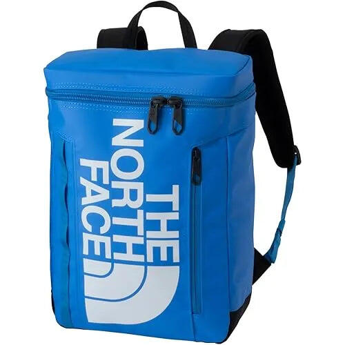 The North Face Fuse Box Youth Backpack 21L - Postcard