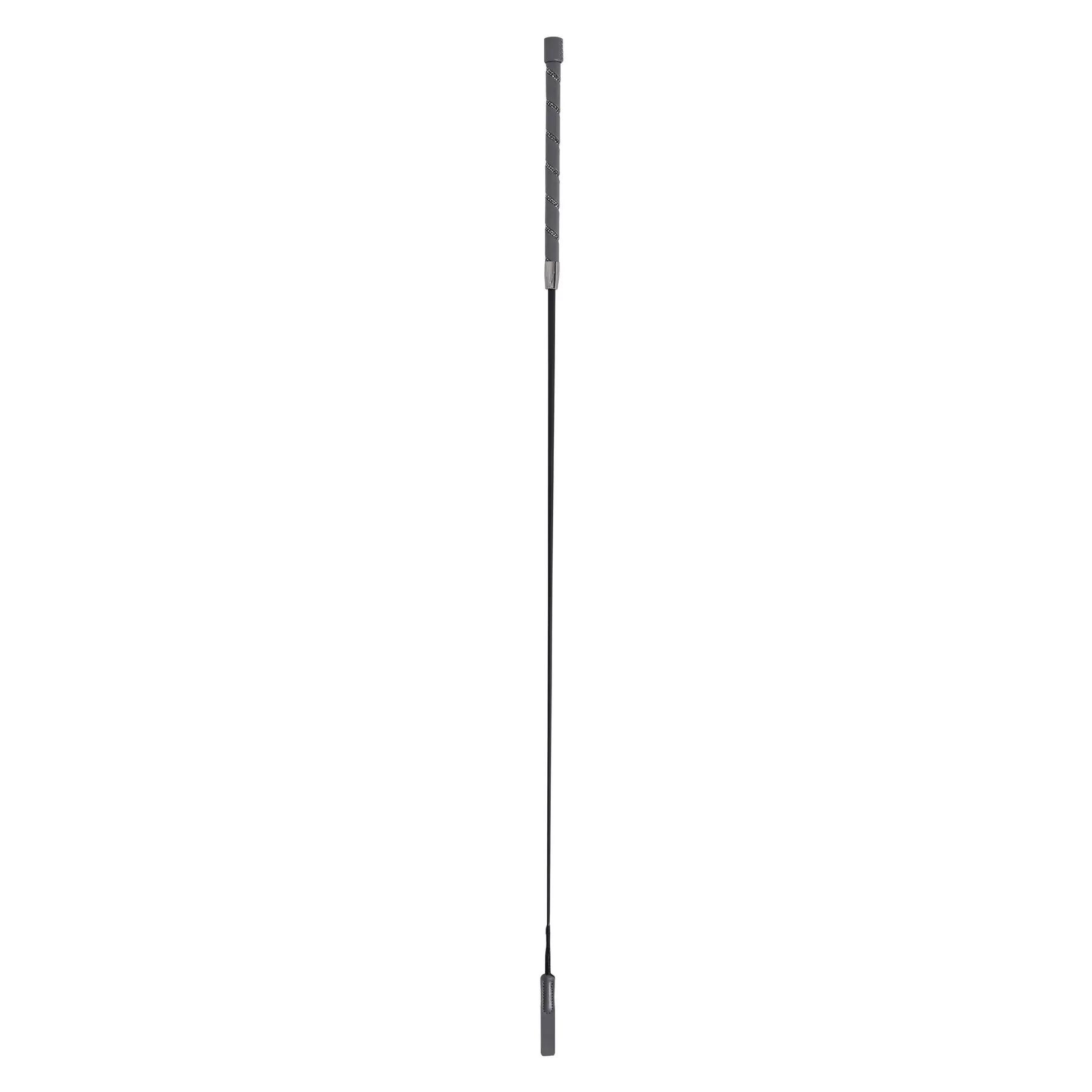 Stick de dressage équitation Imperial Riding Regal Shine 2/2