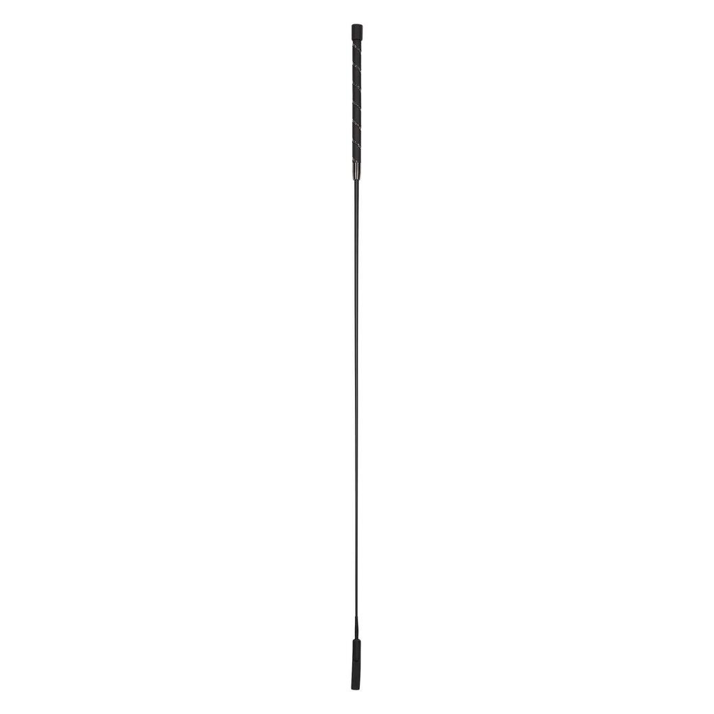 Dressage riding crop Imperial Riding Regal Shine