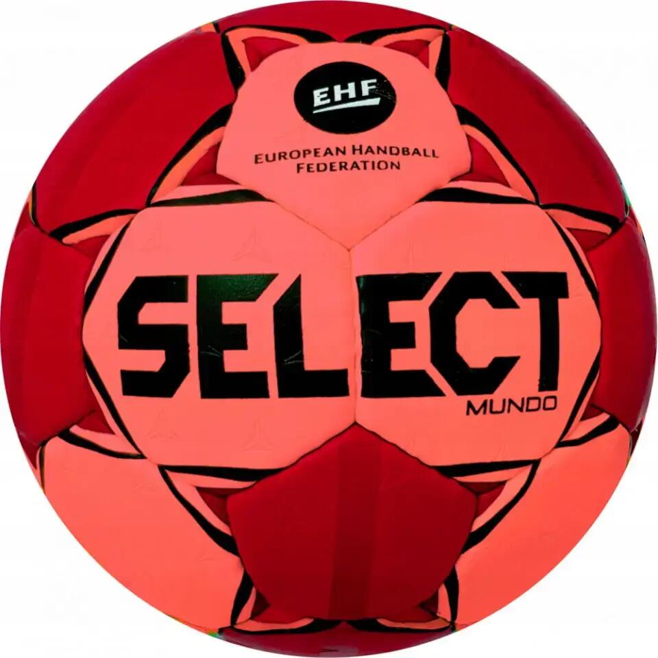 SELECT picture