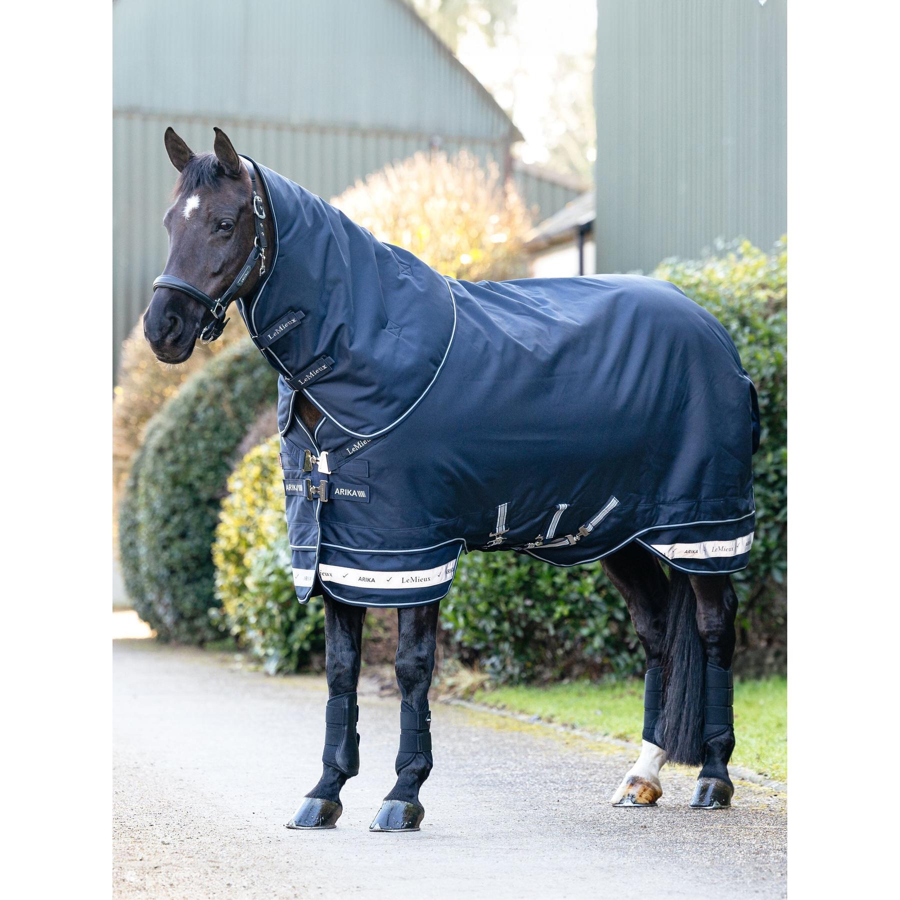 Couverture d'extérieur pour cheval LeMieux Arika Storm-Tek 200g 2/5