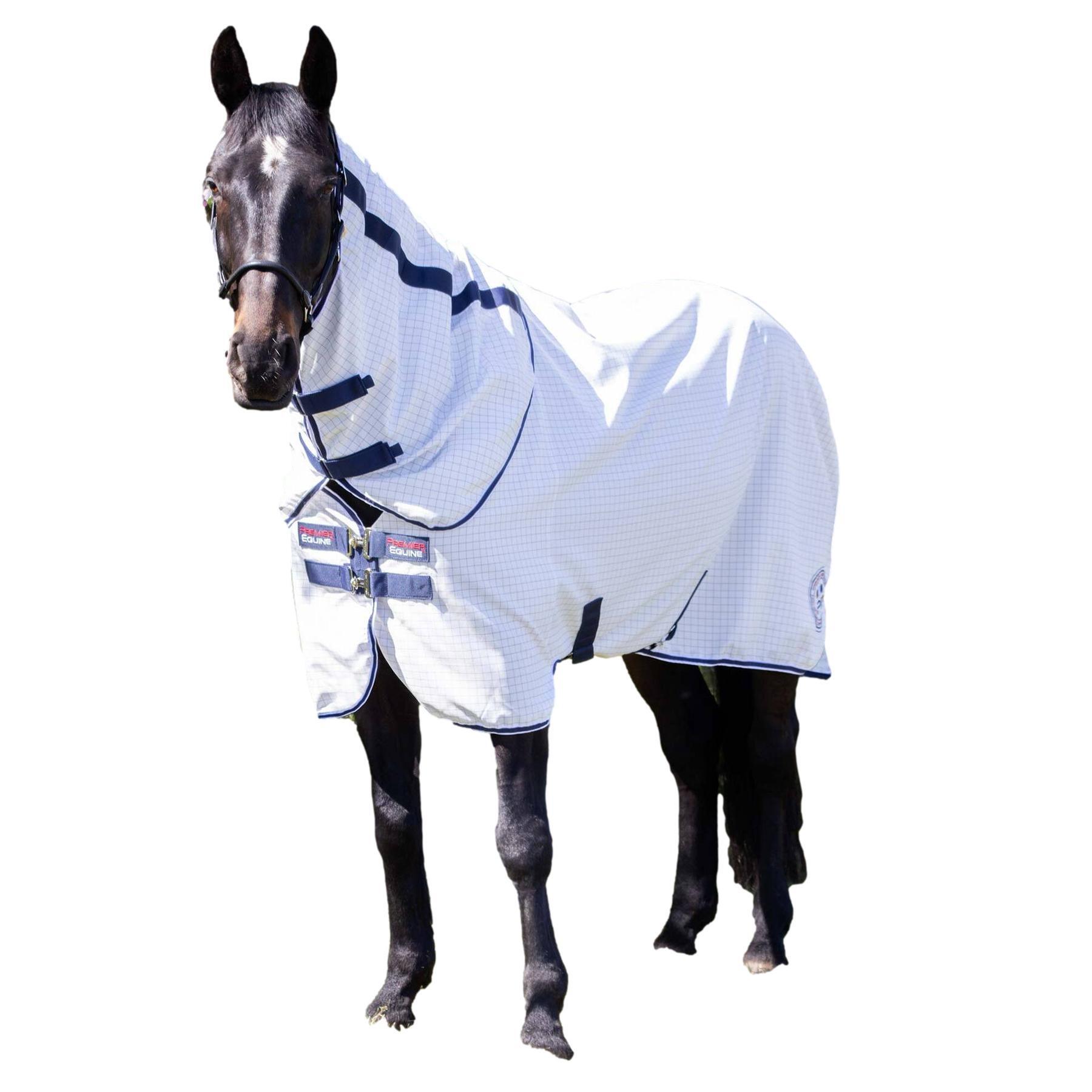 PREMIER EQUINE picture