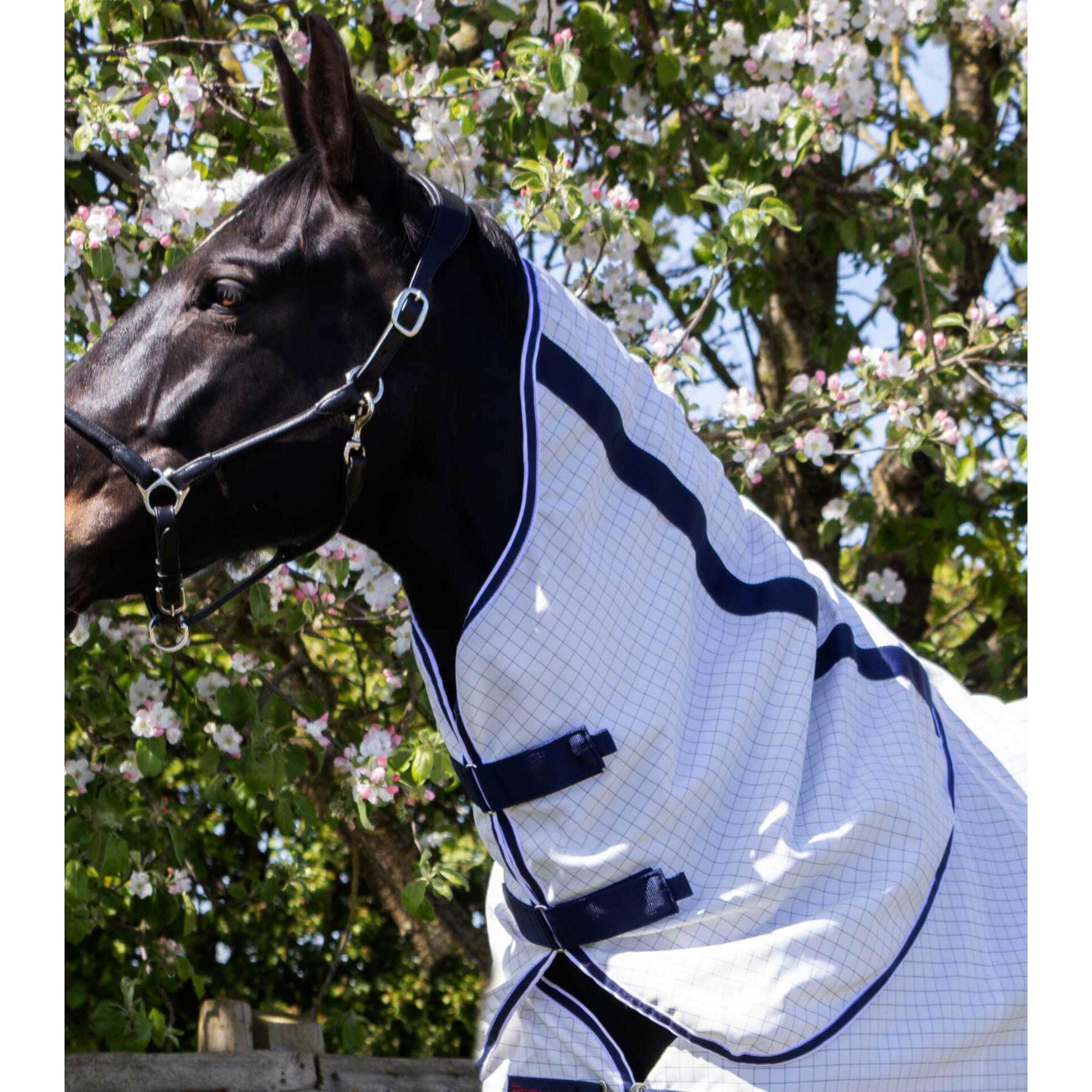Coperta anti-mosche per cavalli - con copricollo Premier Equine 4/6