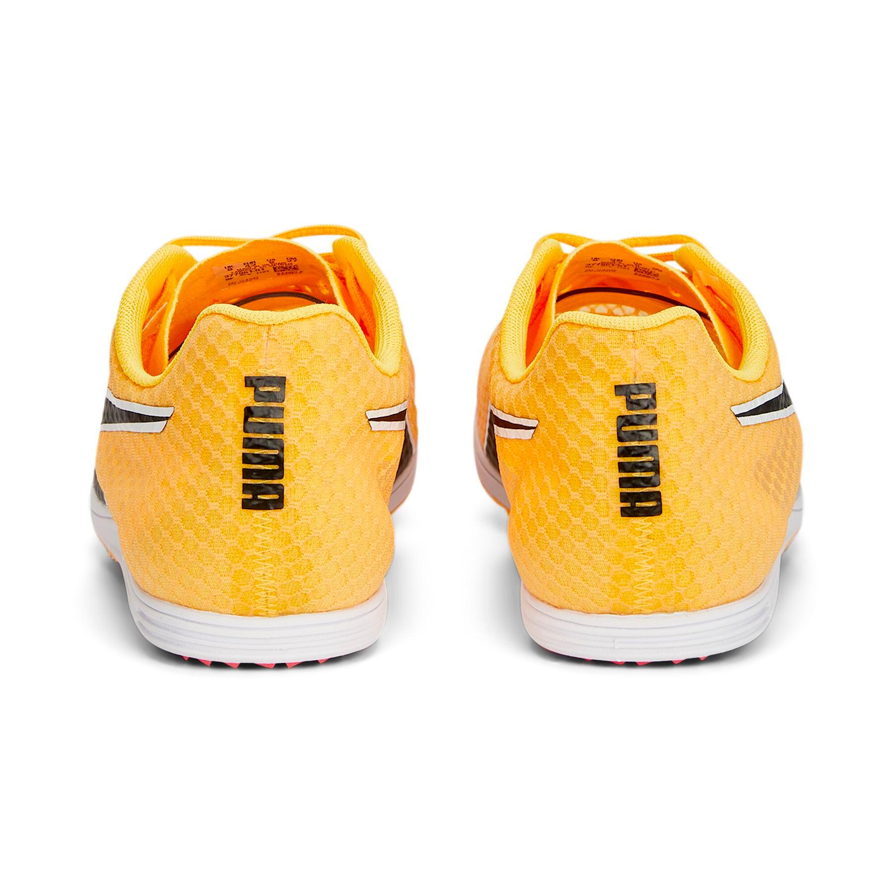 Chaussures d'athlétisme Puma Evospeed Distance 11 5/6