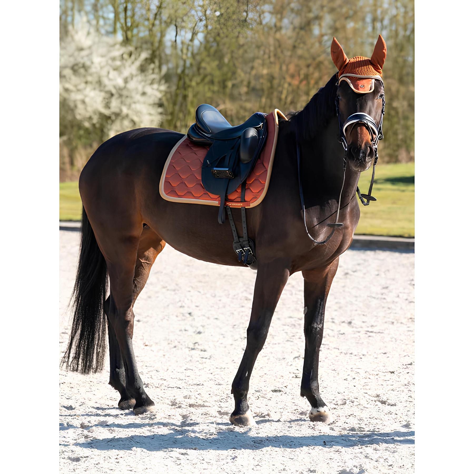 Estera de doma para caballos PS of Sweden Stripe Jump 3/5