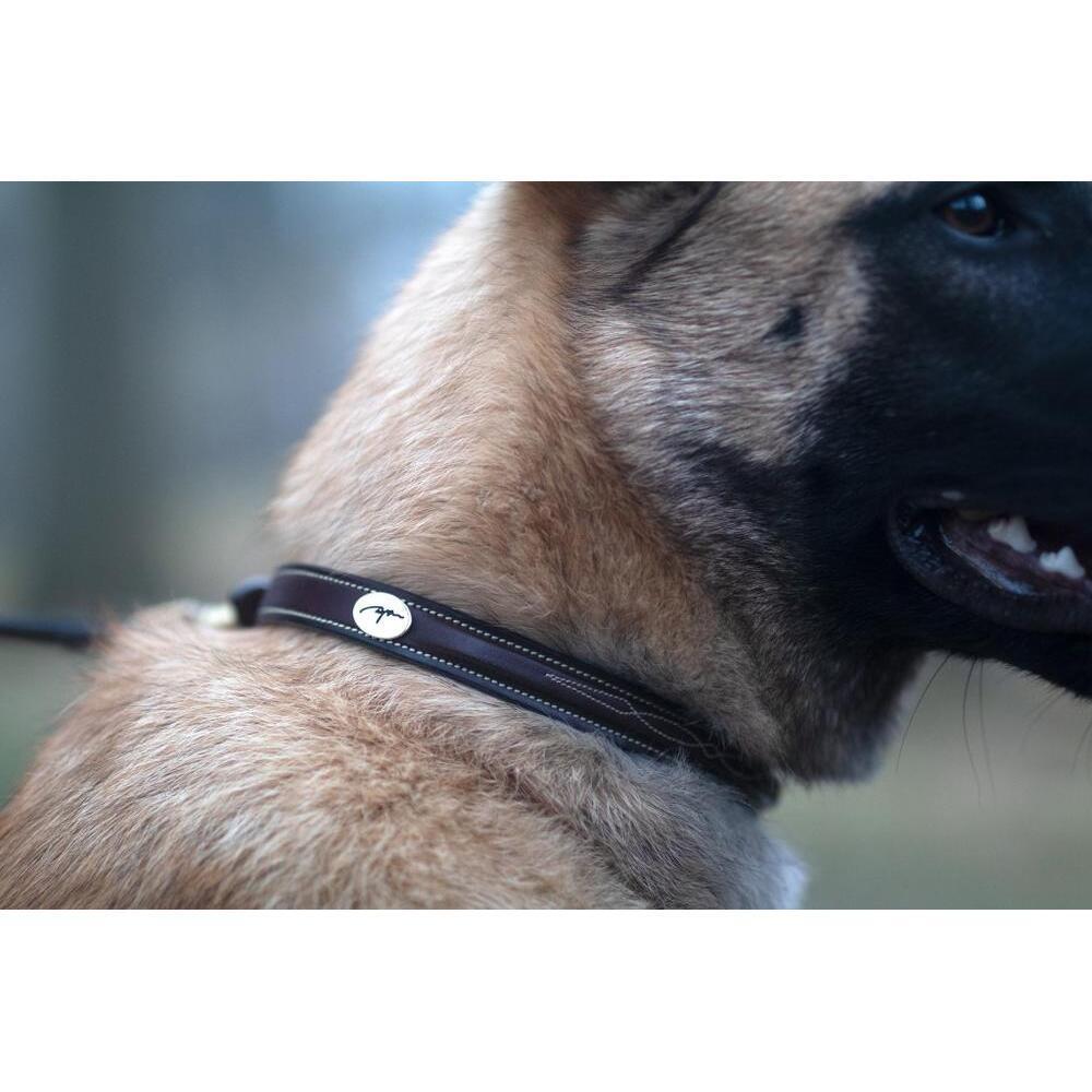 Coleira para cães com costura decorativa Dy'on 2/3