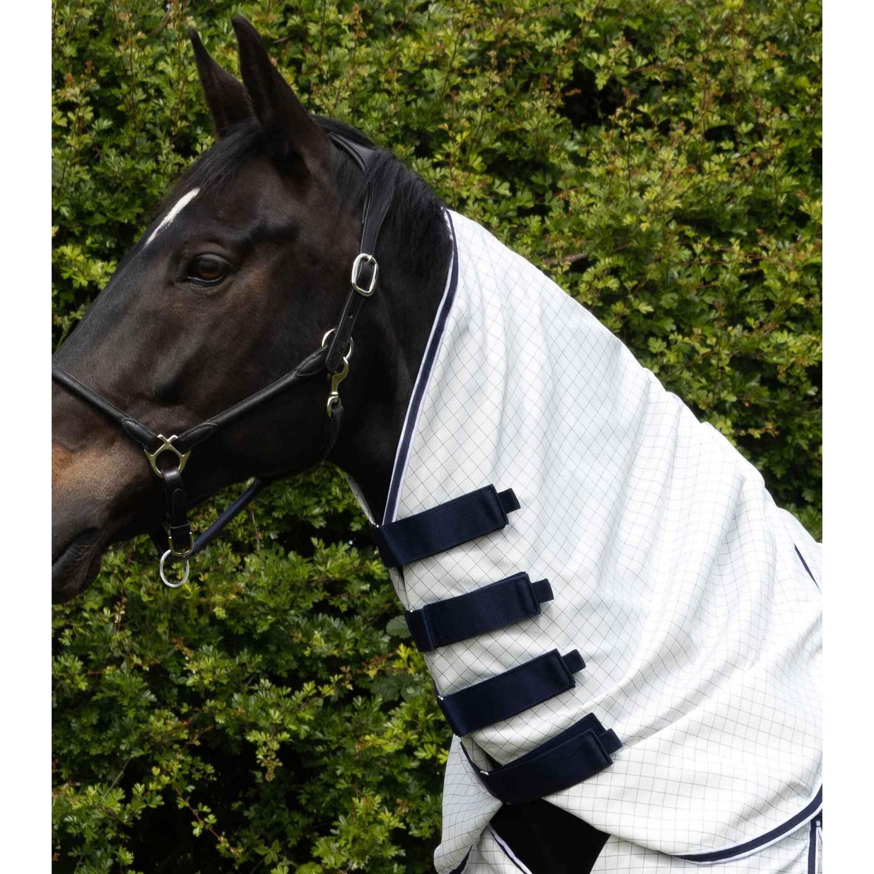 Droogdeken voor paarden Premier Equine Cotone Combo 2/6