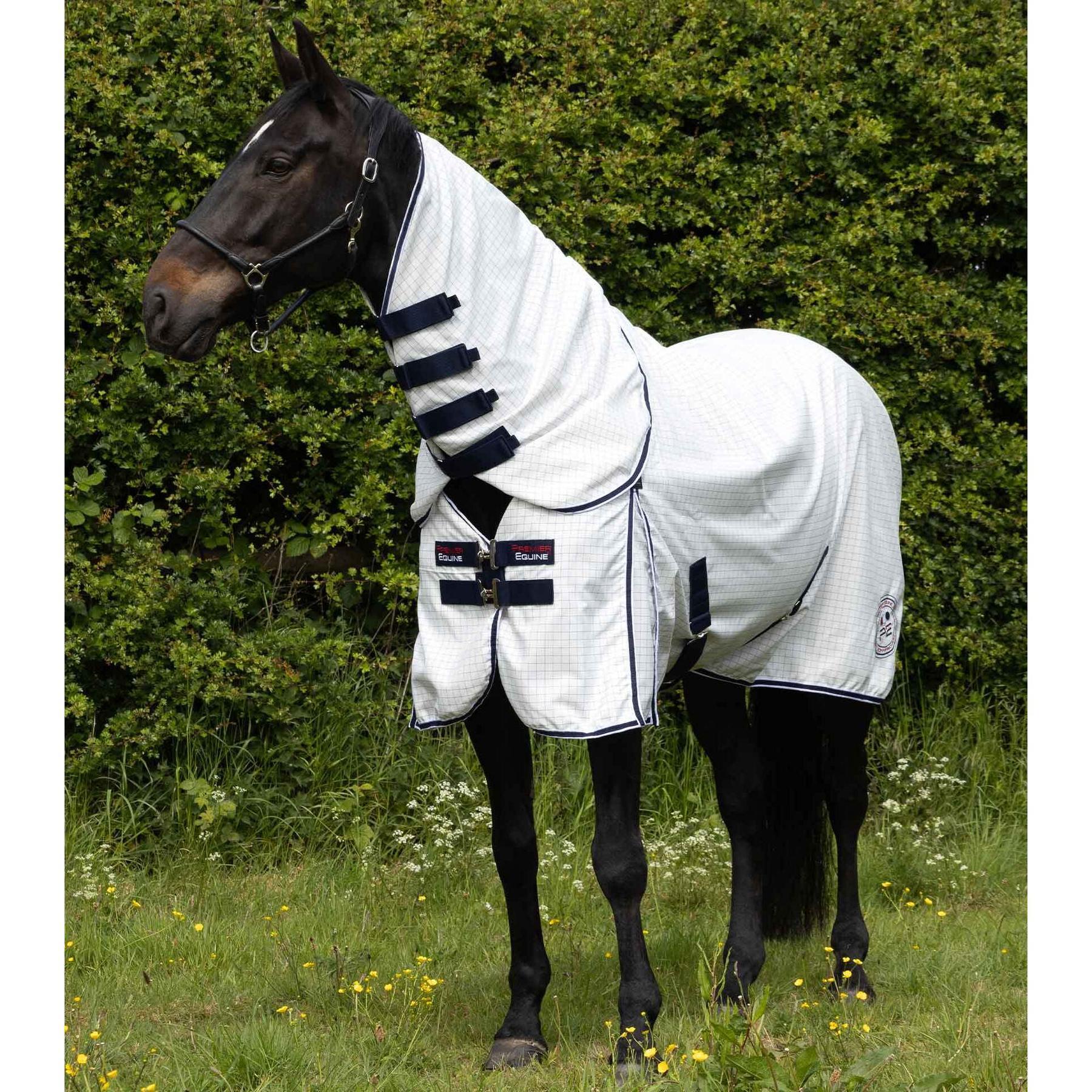 PREMIER EQUINE picture