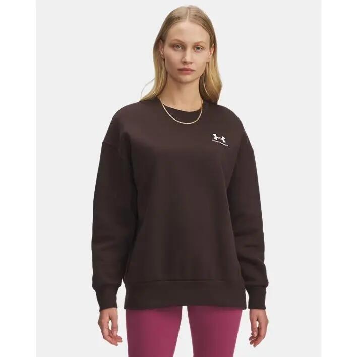 Women's oversized sweatshirt Under Armour Icon Fleece