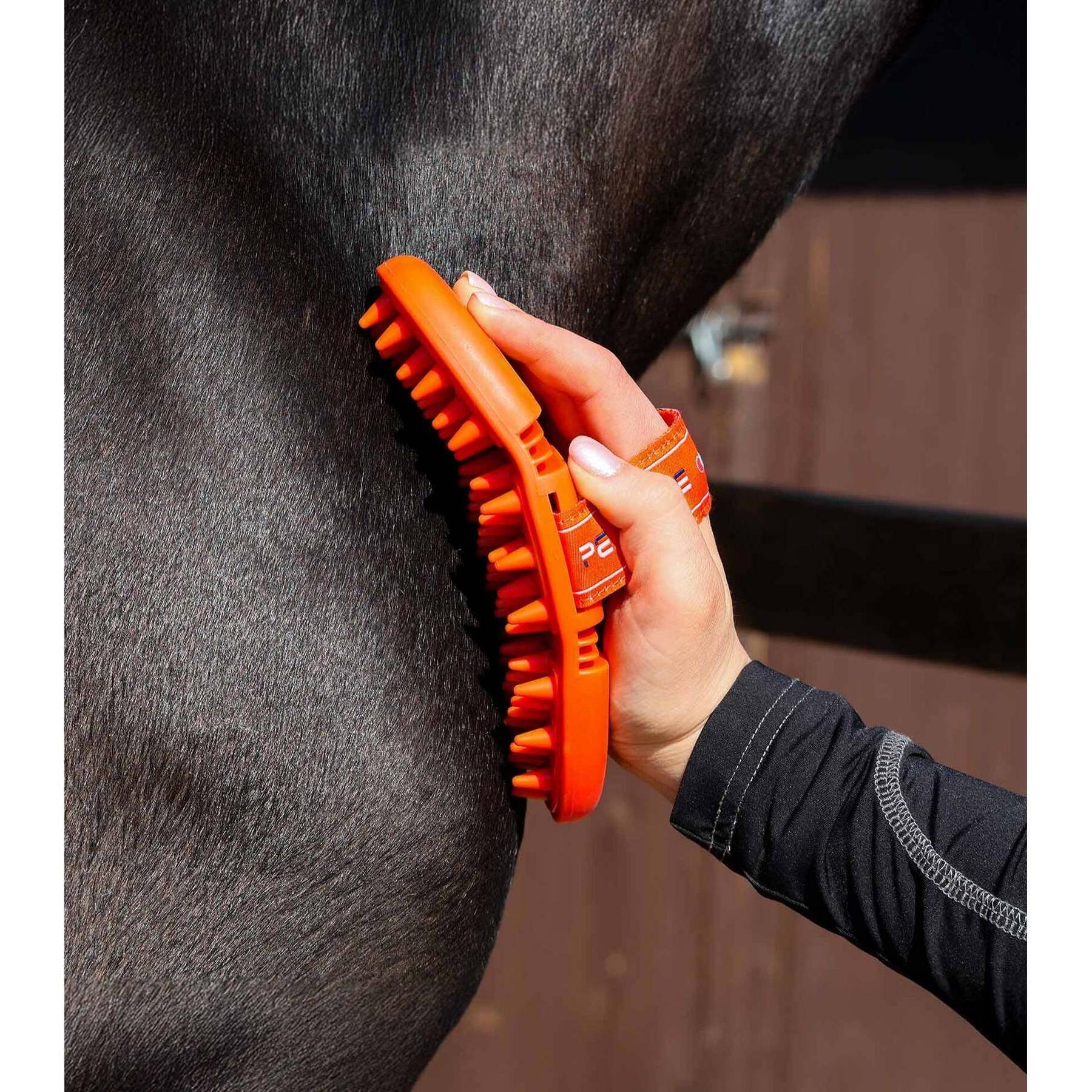 Soft massage curry comb for horse Premier Equine 4/4
