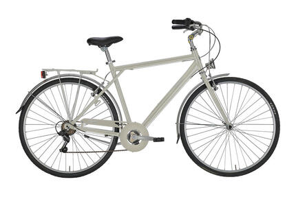 Stadsfiets ROXY Man 28 inch, grijs