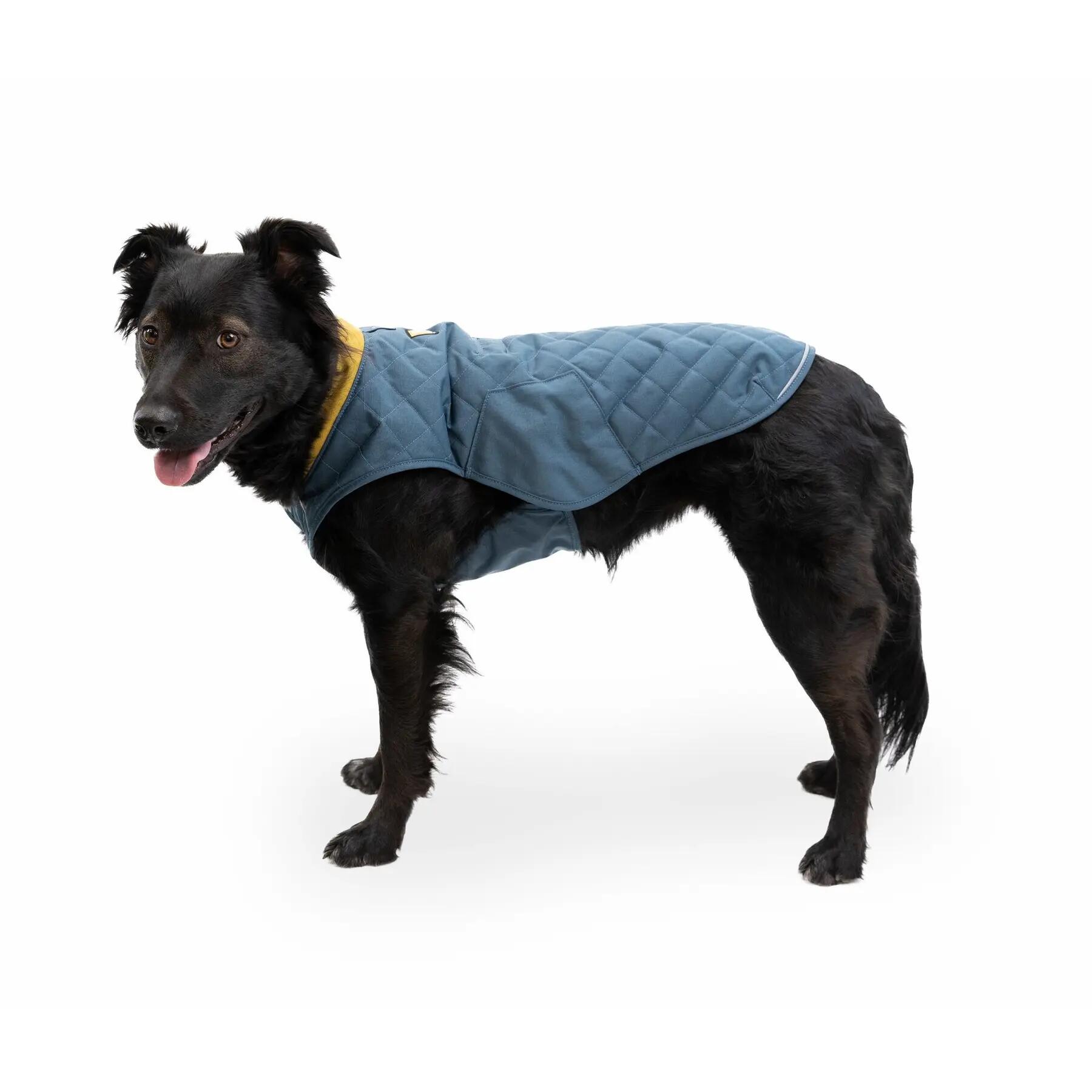 Manteau pour chien Ruffwear Stumptown 5/5