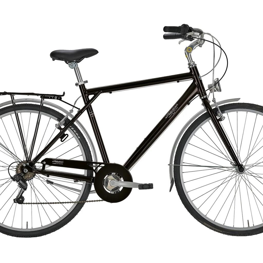 Alpina Bike, Roxy 28 Man