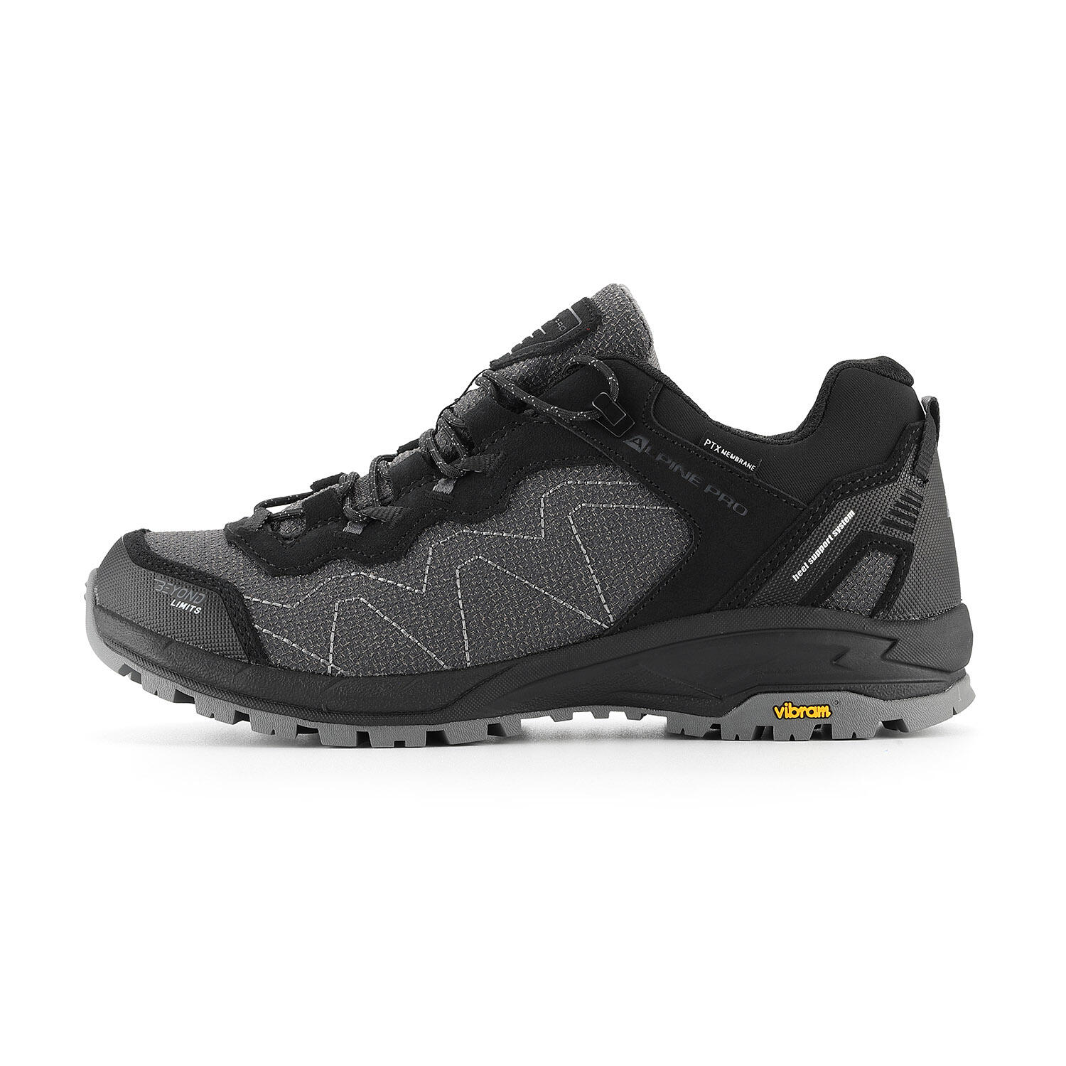 ALPINE PRO picture