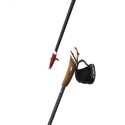Carbon nordic walking stokken - vent des fjords ut70 polaire