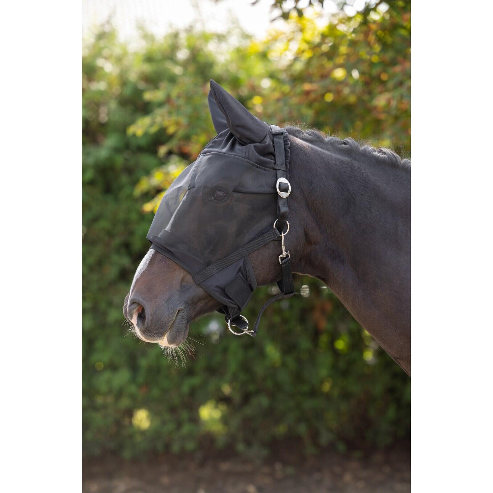 Licol avec masque anti-mouches intégré pour cheval Covalliero 3/3