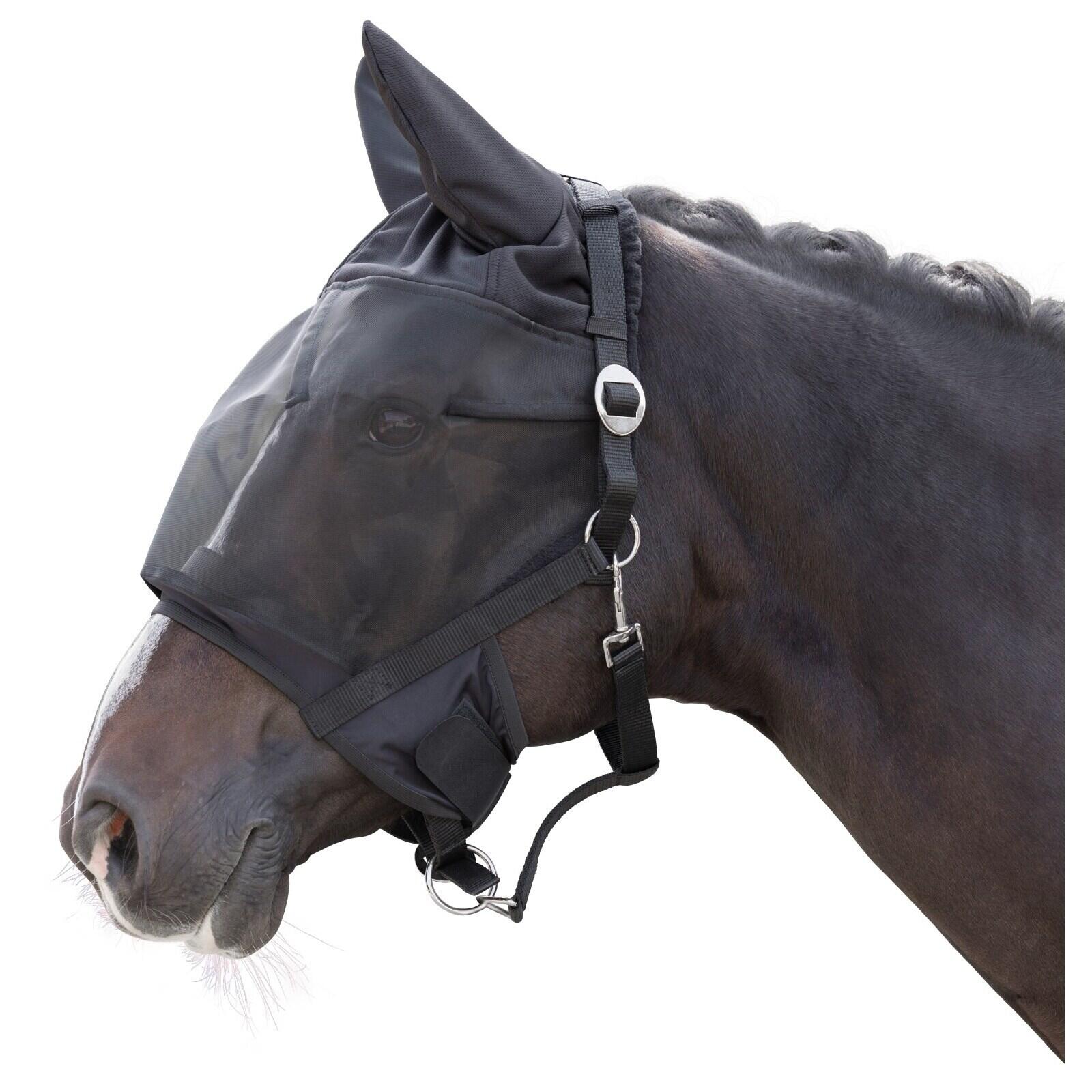 Licol avec masque anti-mouches intégré pour cheval Covalliero 2/3