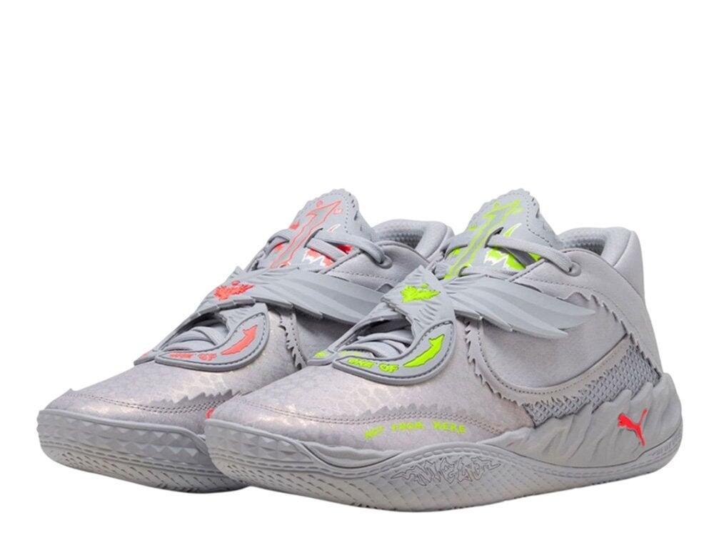 PUMA picture