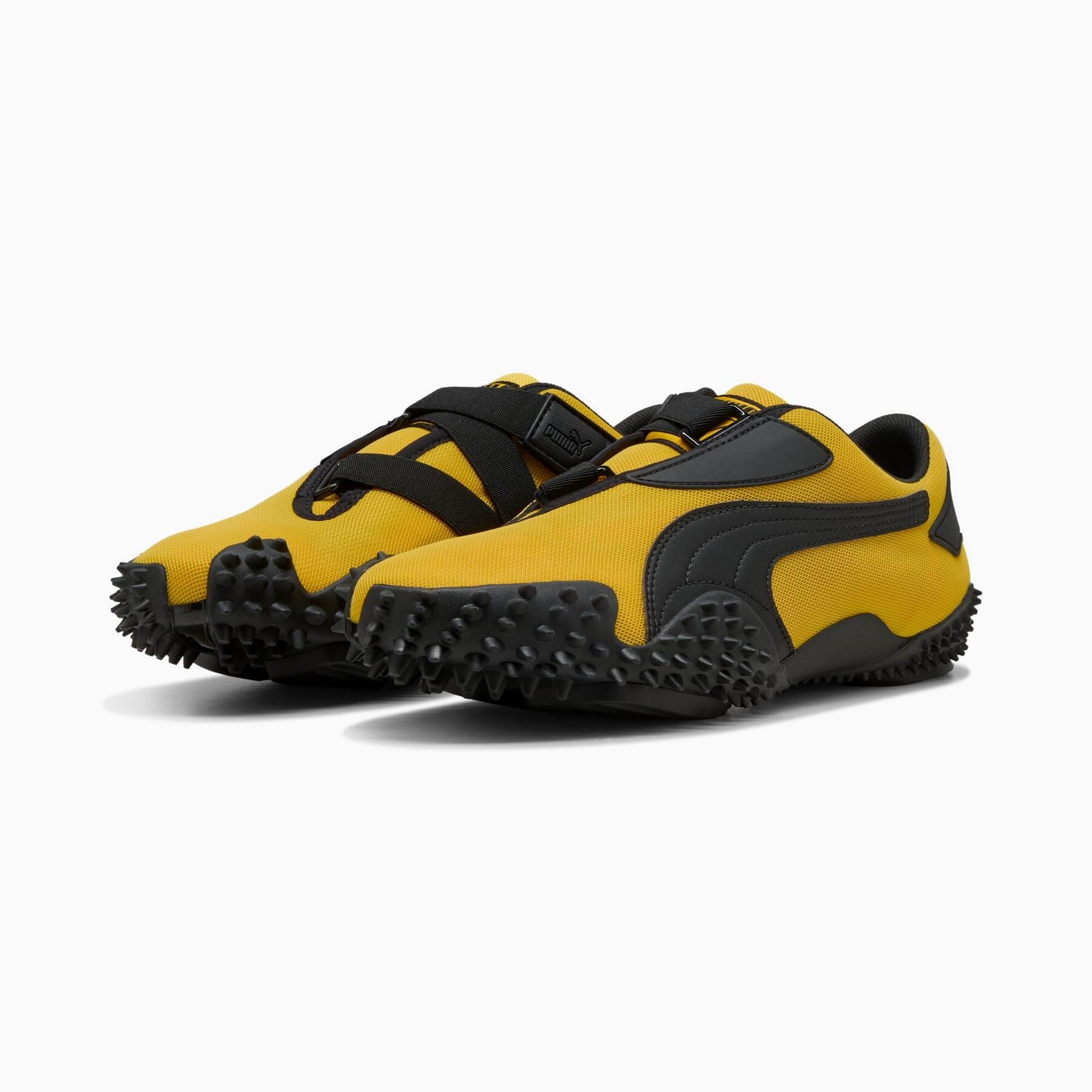 PUMA picture
