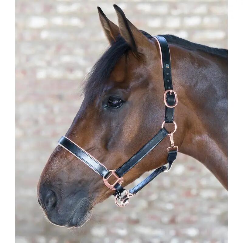 Cabestro para caballo de cuero rosa Waldhausen X-Line 2/3