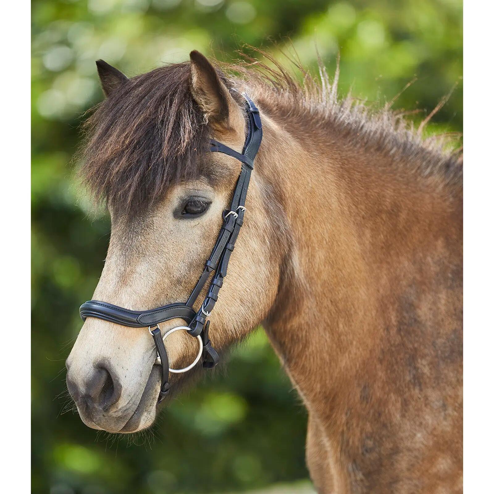 Bridones de equitación para caballo anatómico Waldhausen Island 2/4