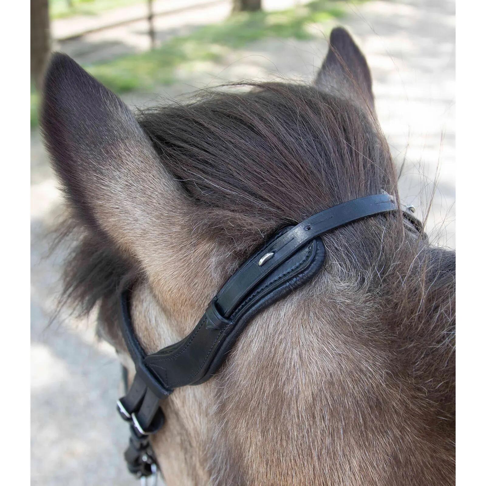 Bridones de equitación para caballo anatómico Waldhausen Island 4/4