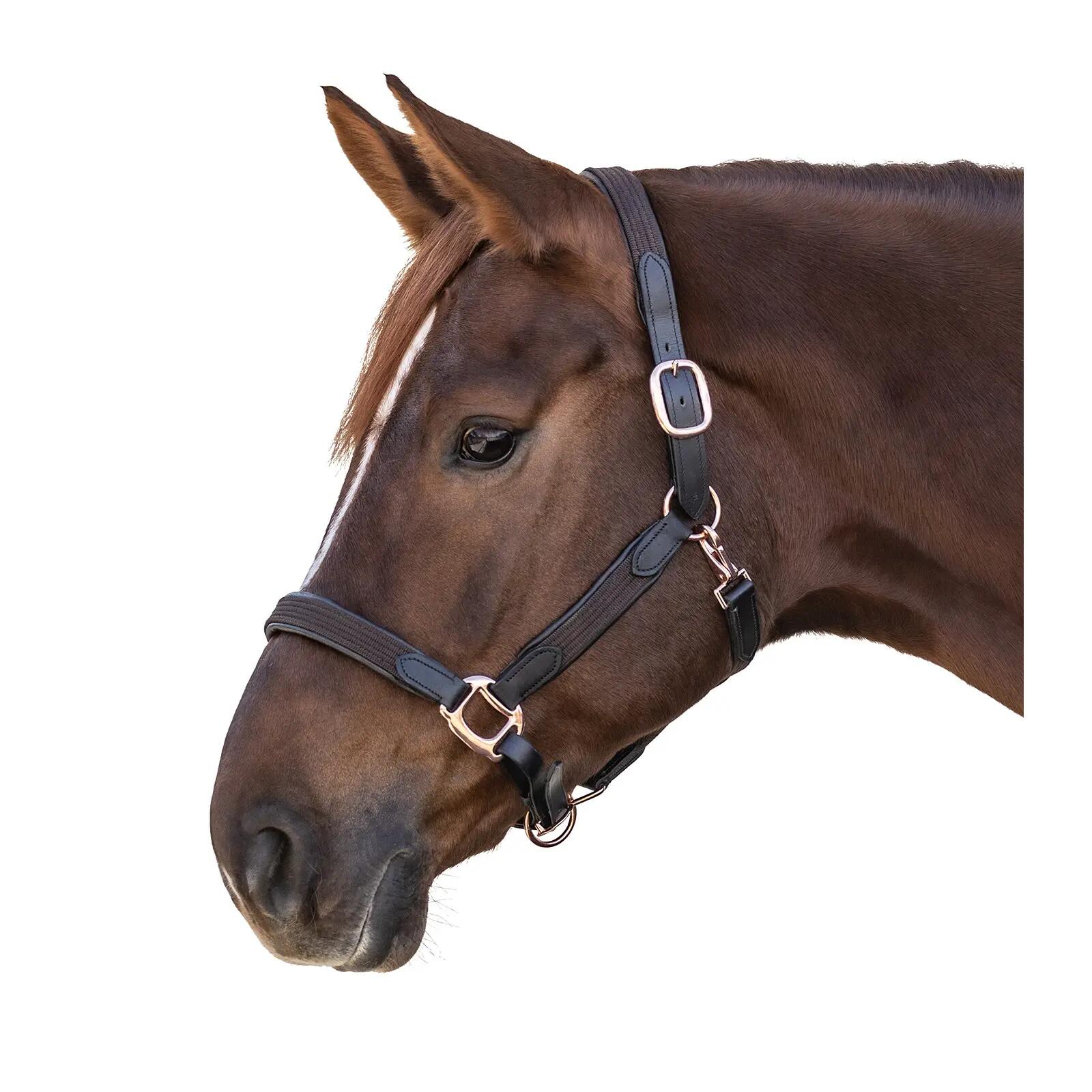 Licol pour cheval Star Mix 2/2