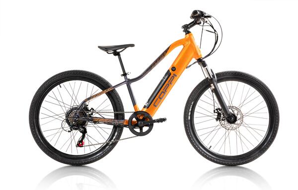COPPI Bicicleta eléctrica con pedaleo asistido niño Goblin MTB 24"