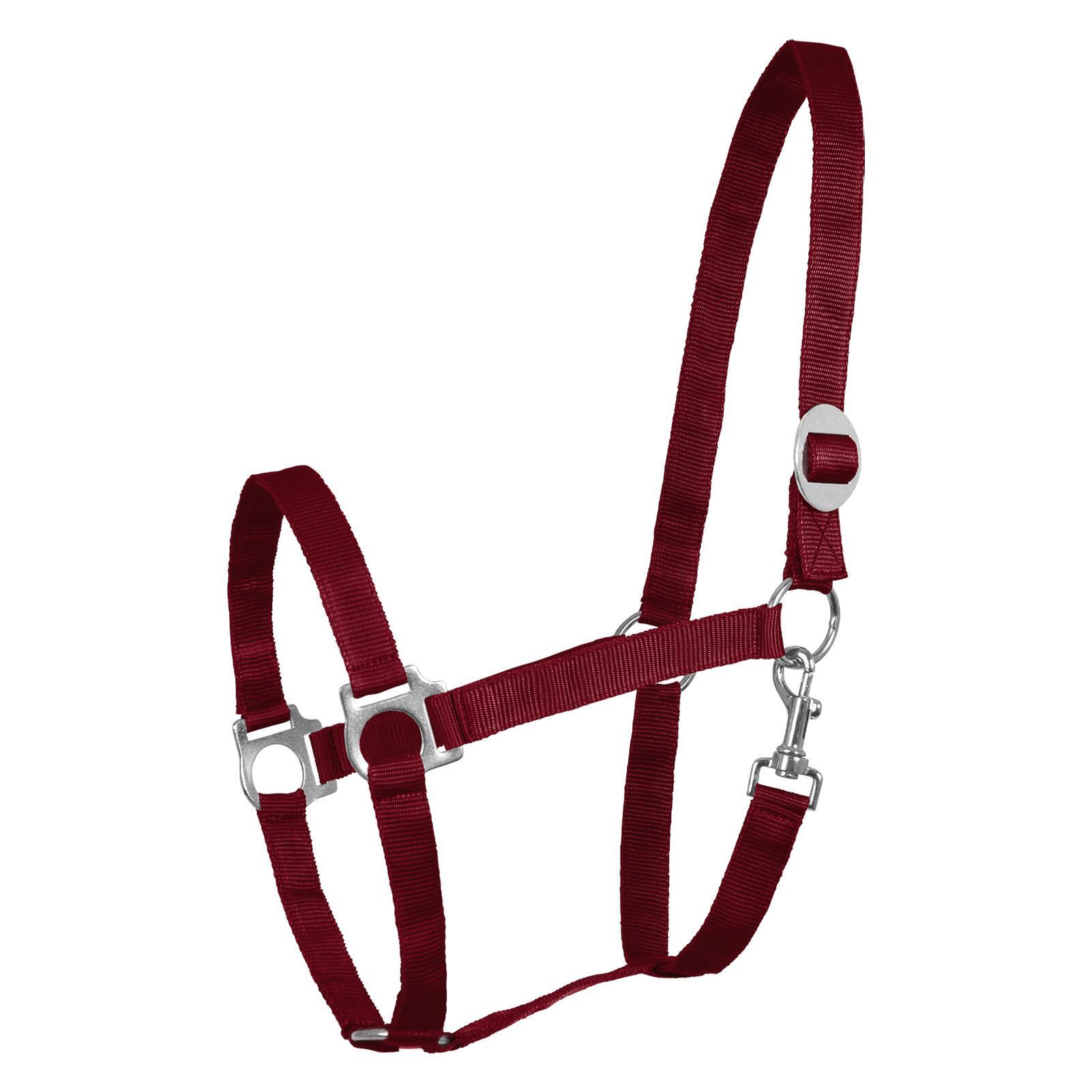 rouge / bordeaux / burgundy