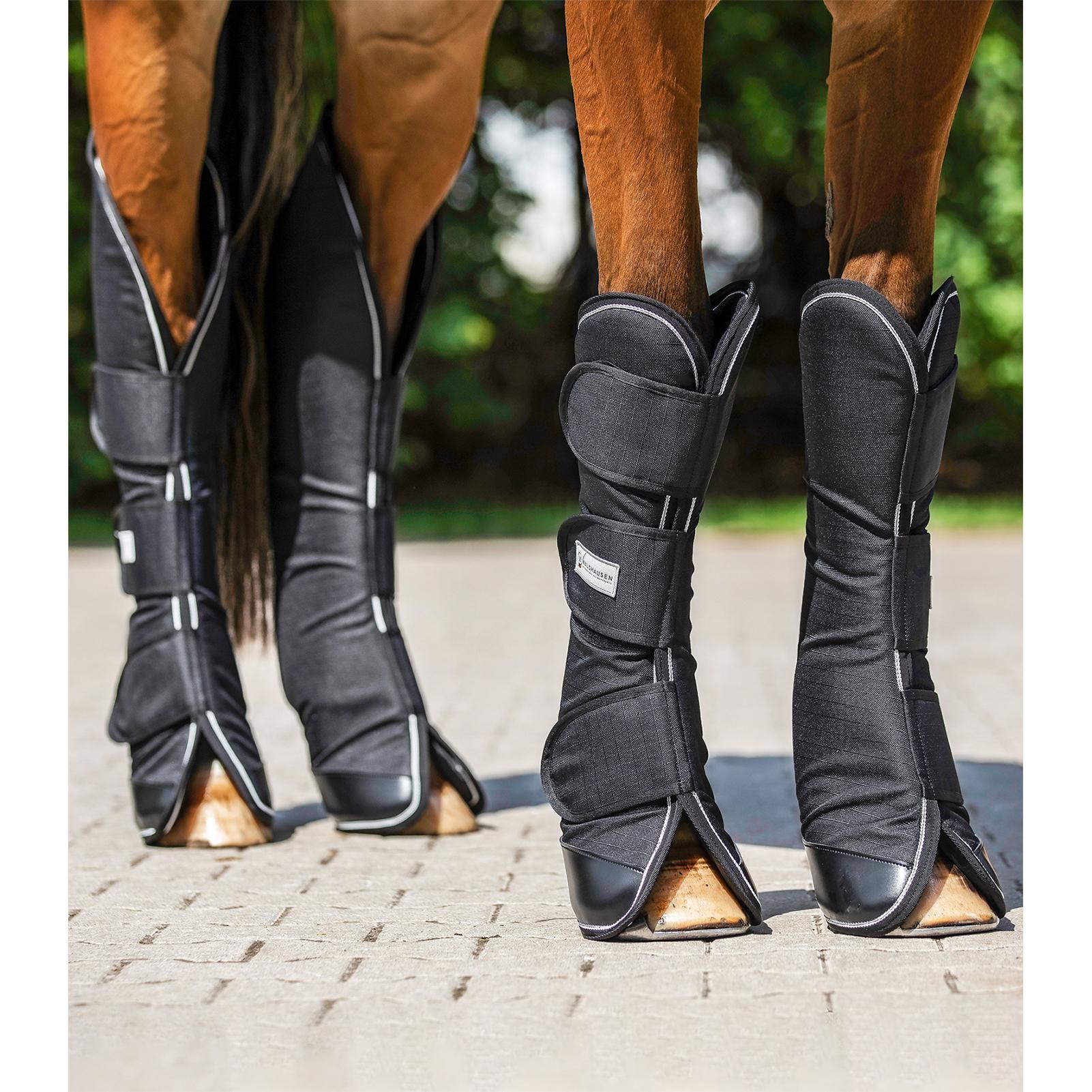 Guêtres de transport pour cheval Waldhausen Comfort 2/2