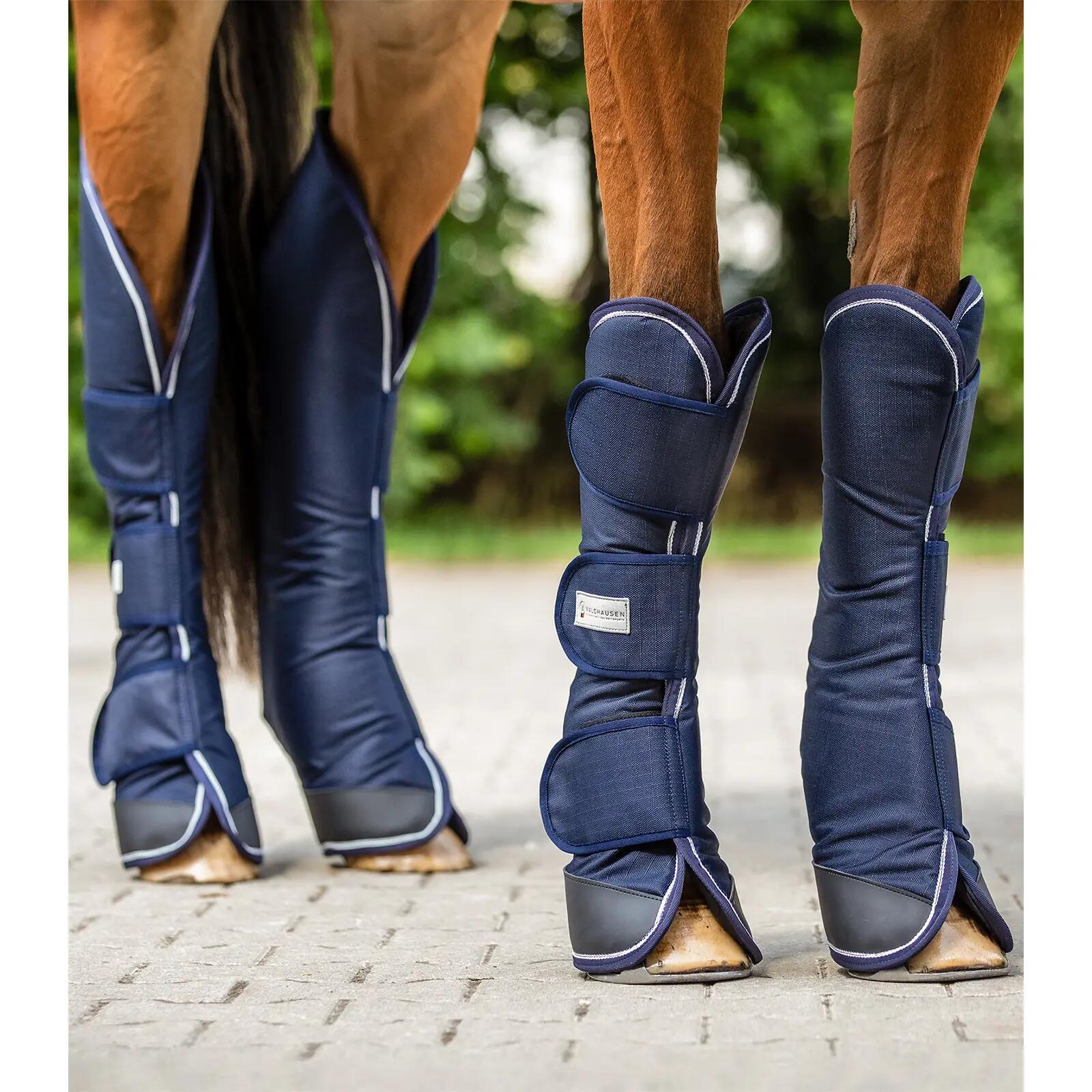 Botas de transporte para caballos Waldhausen Comfort 2/2