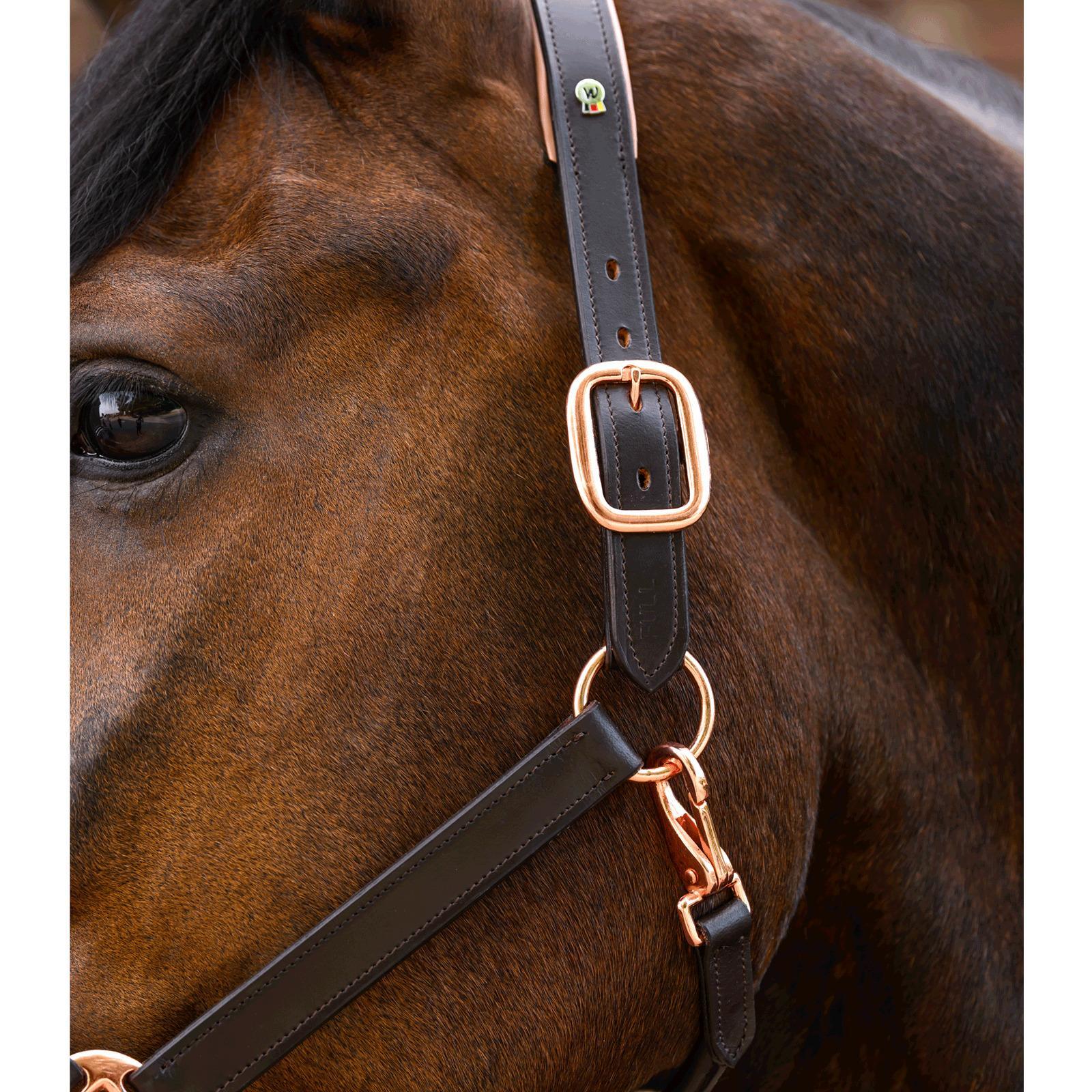 Cabestro de cuero para caballos Waldhausen X-Line 3/3